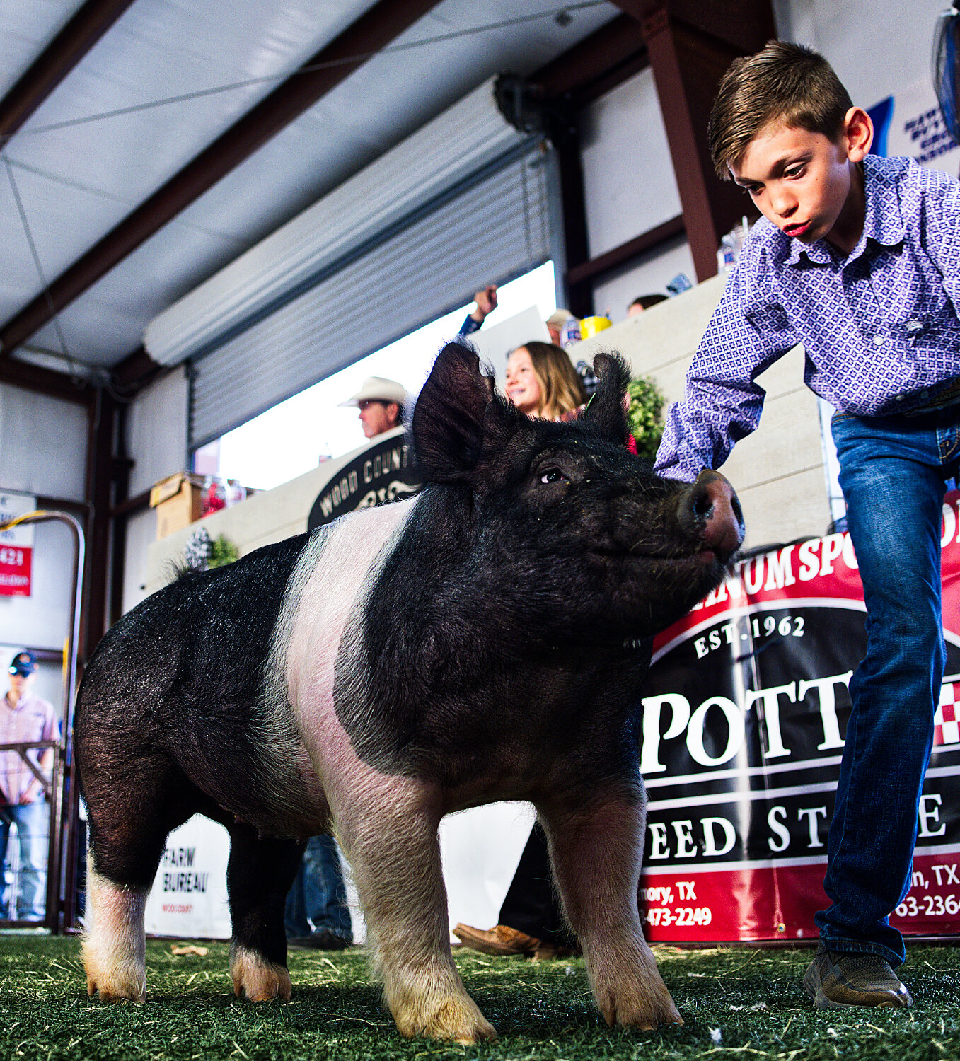 Luke Wernecke of Mineola FFA received $4,100 for his reserve champion hog. [see some more sale images]